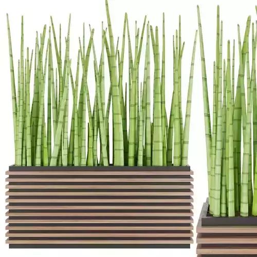 Collection plant vol 140 Free 3D model