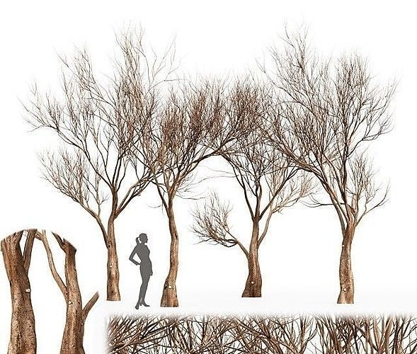Tree silhouette Dry Tree Or Dead Tree003 3D model