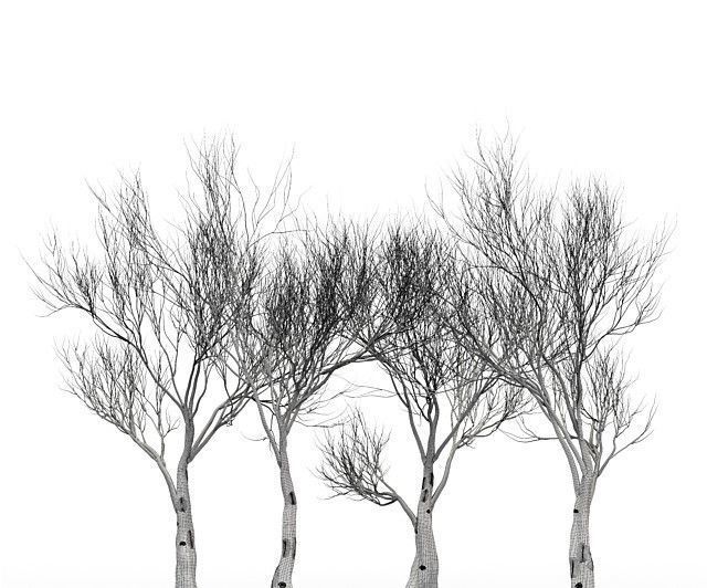 Tree silhouette Dry Tree Or Dead Tree003 3D model_4