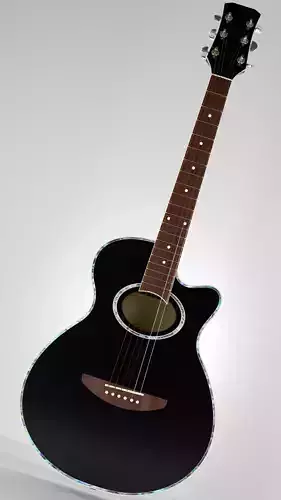 Acoustic Guitar Cutway