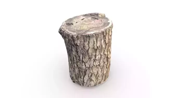 Game Ready Log tree stump