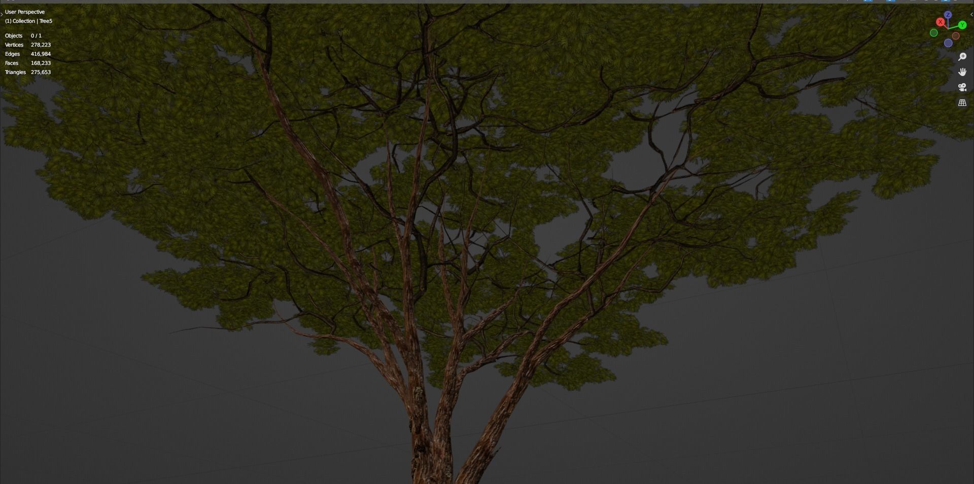 Tree 5 Lowpoly 3D model_13