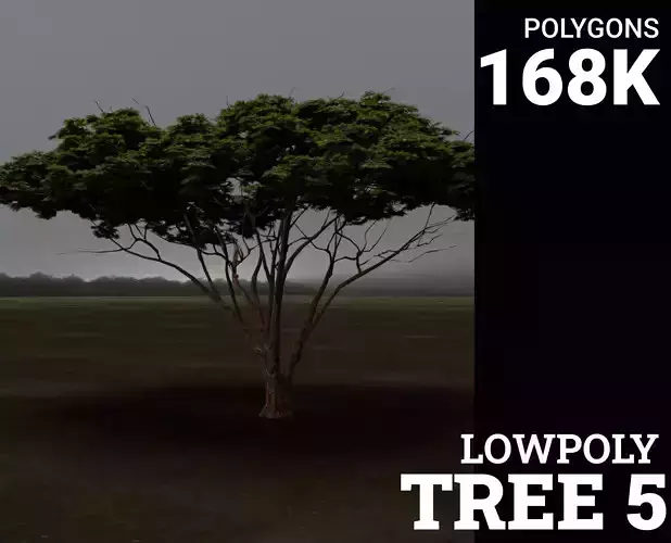Tree 5 Lowpoly 3D model