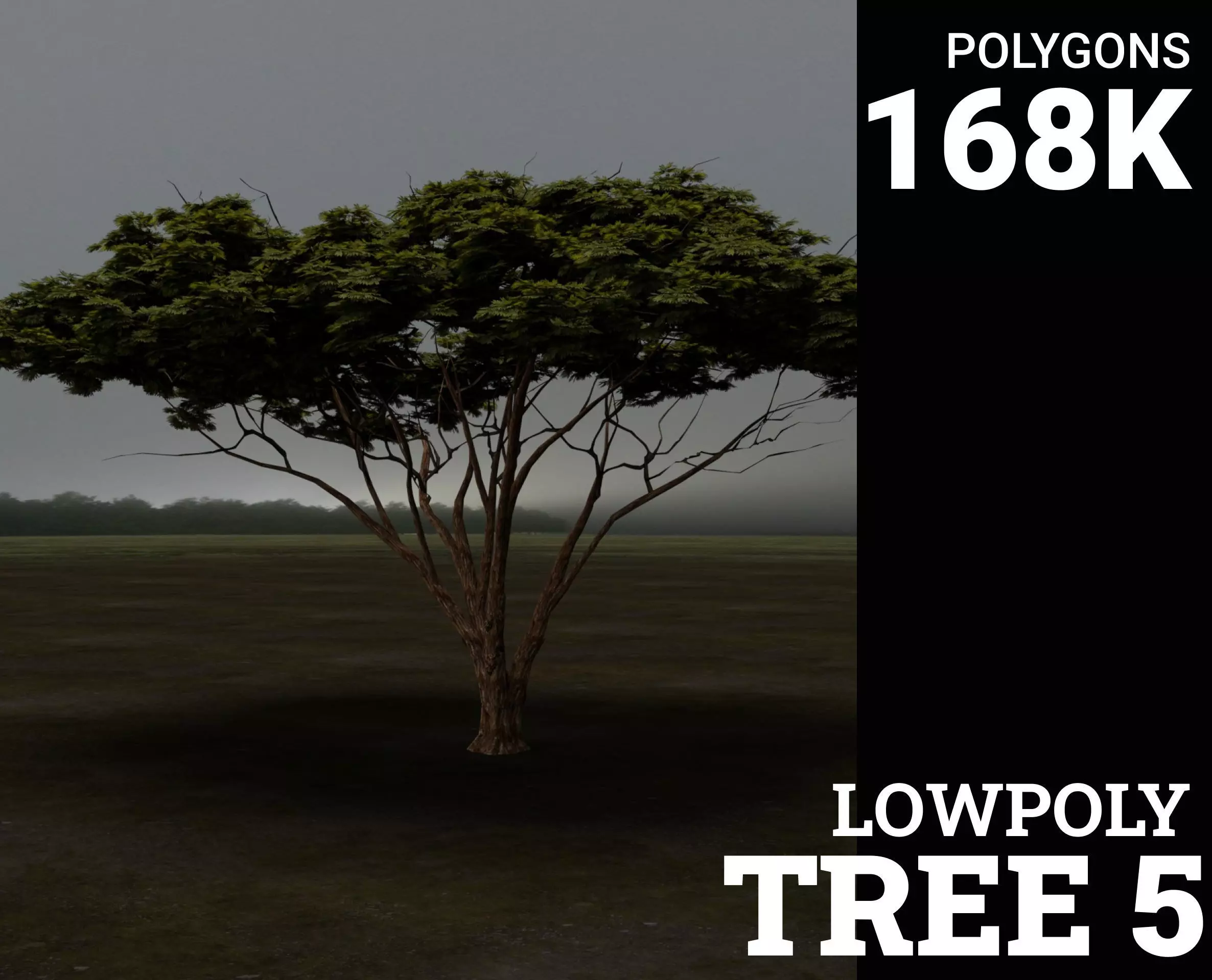 Tree 5 Lowpoly 3D model_0