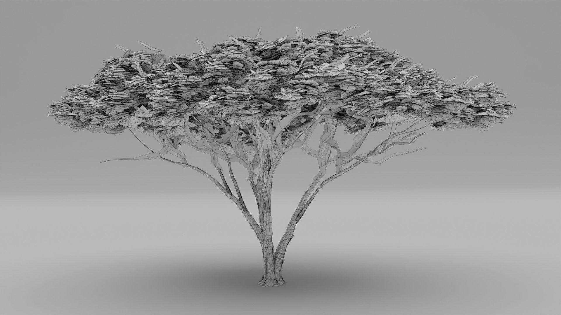 Tree 5 Lowpoly 3D model_11