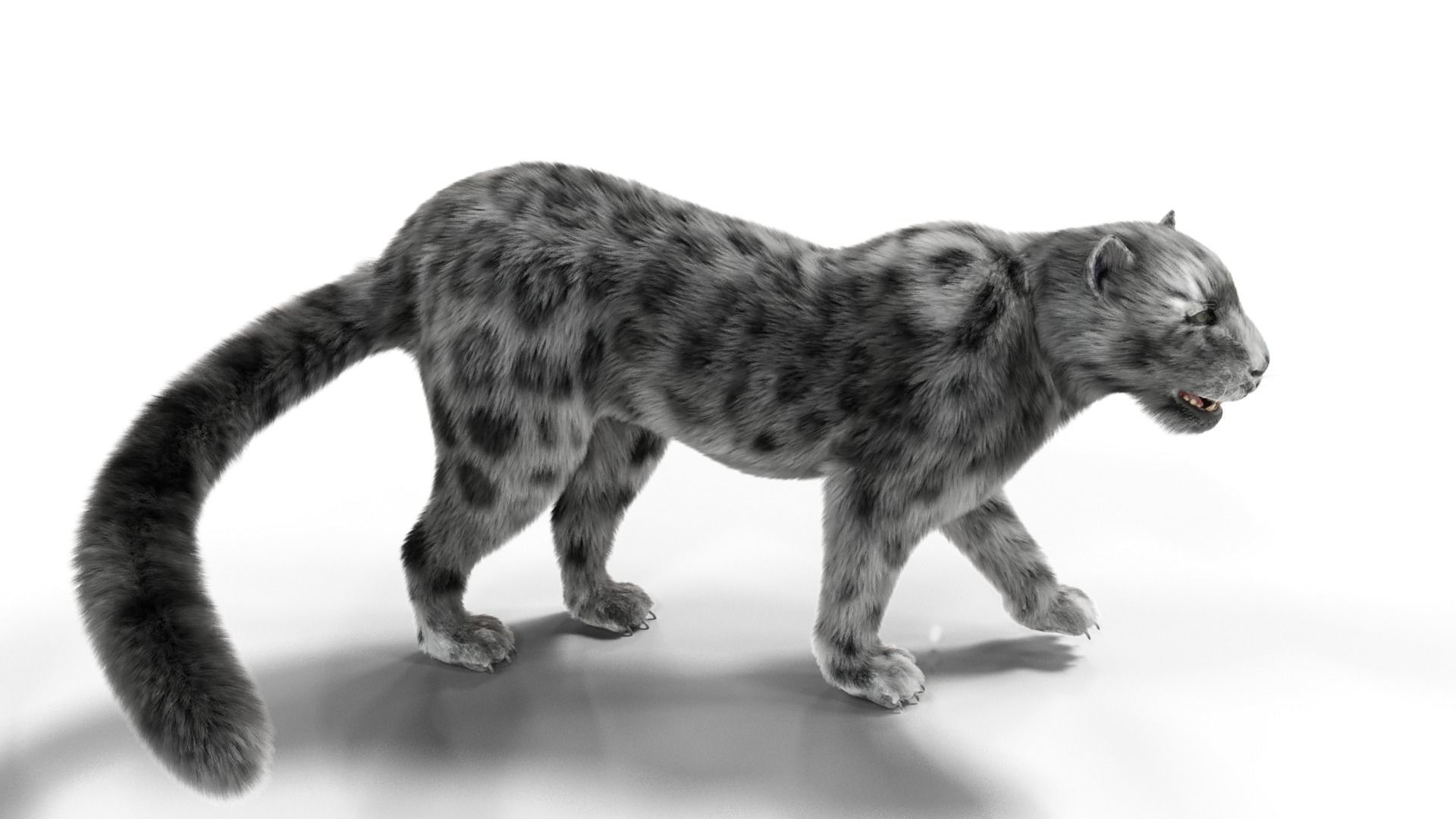 Realistic Fur Leopard  Rigged Low-poly 3D model_2
