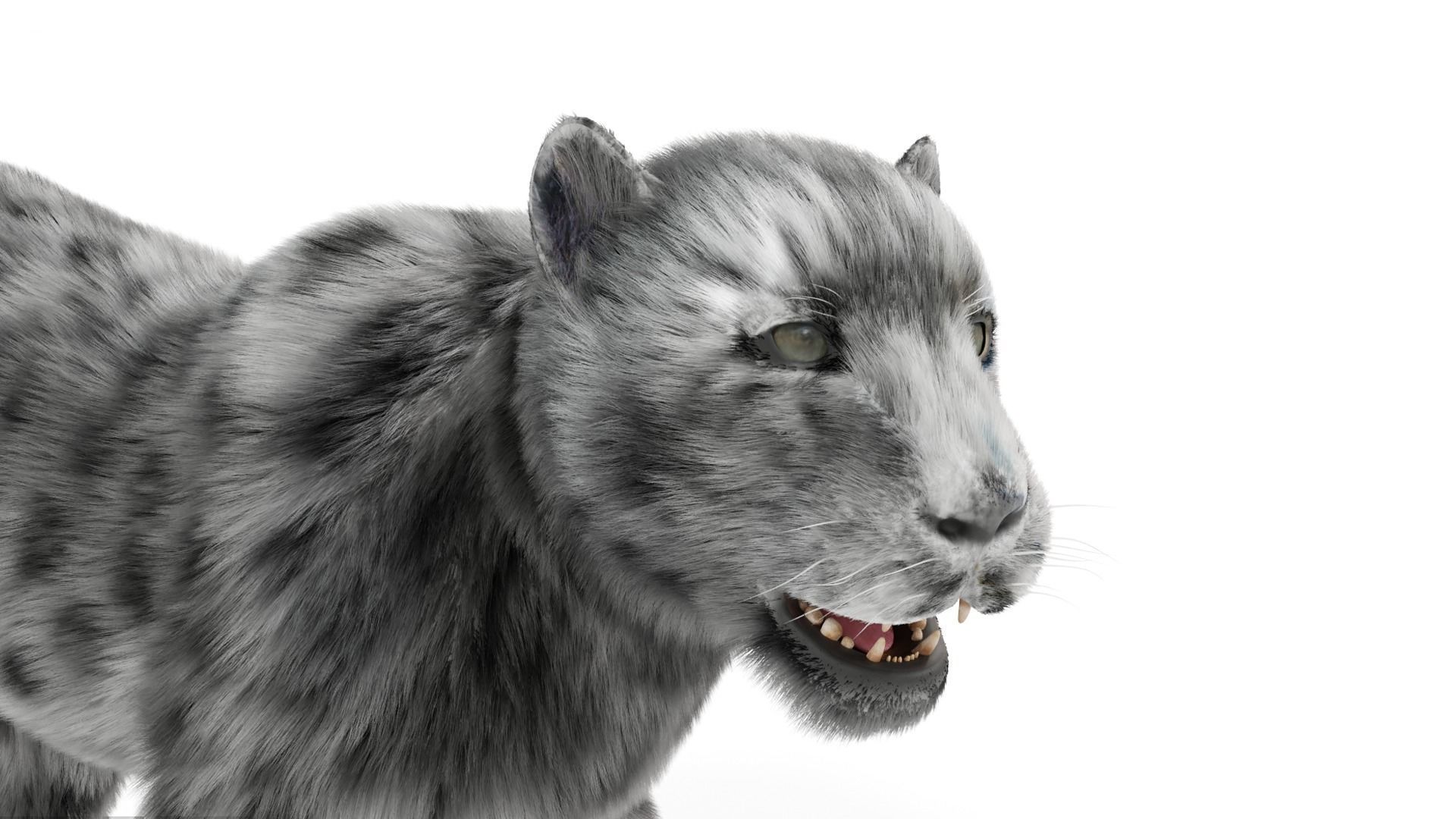 Realistic Fur Leopard  Rigged Low-poly 3D model_4