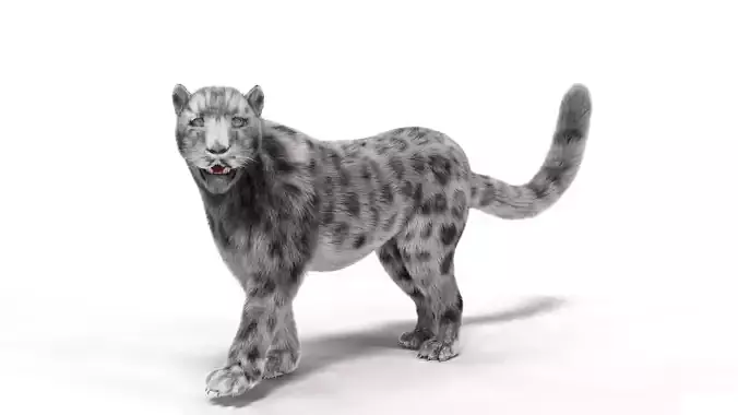 Realistic Fur Leopard  Rigged Low-poly 3D model