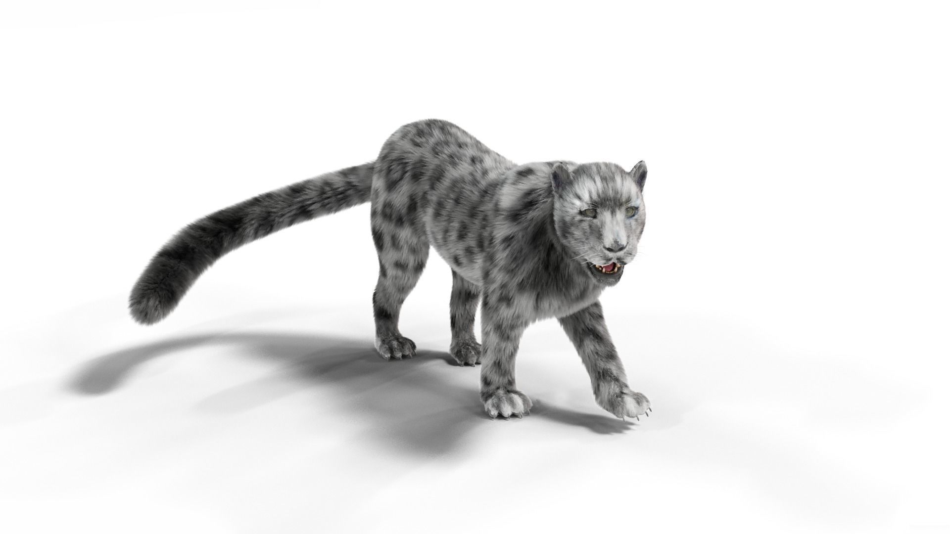 Realistic Fur Leopard  Rigged Low-poly 3D model_6