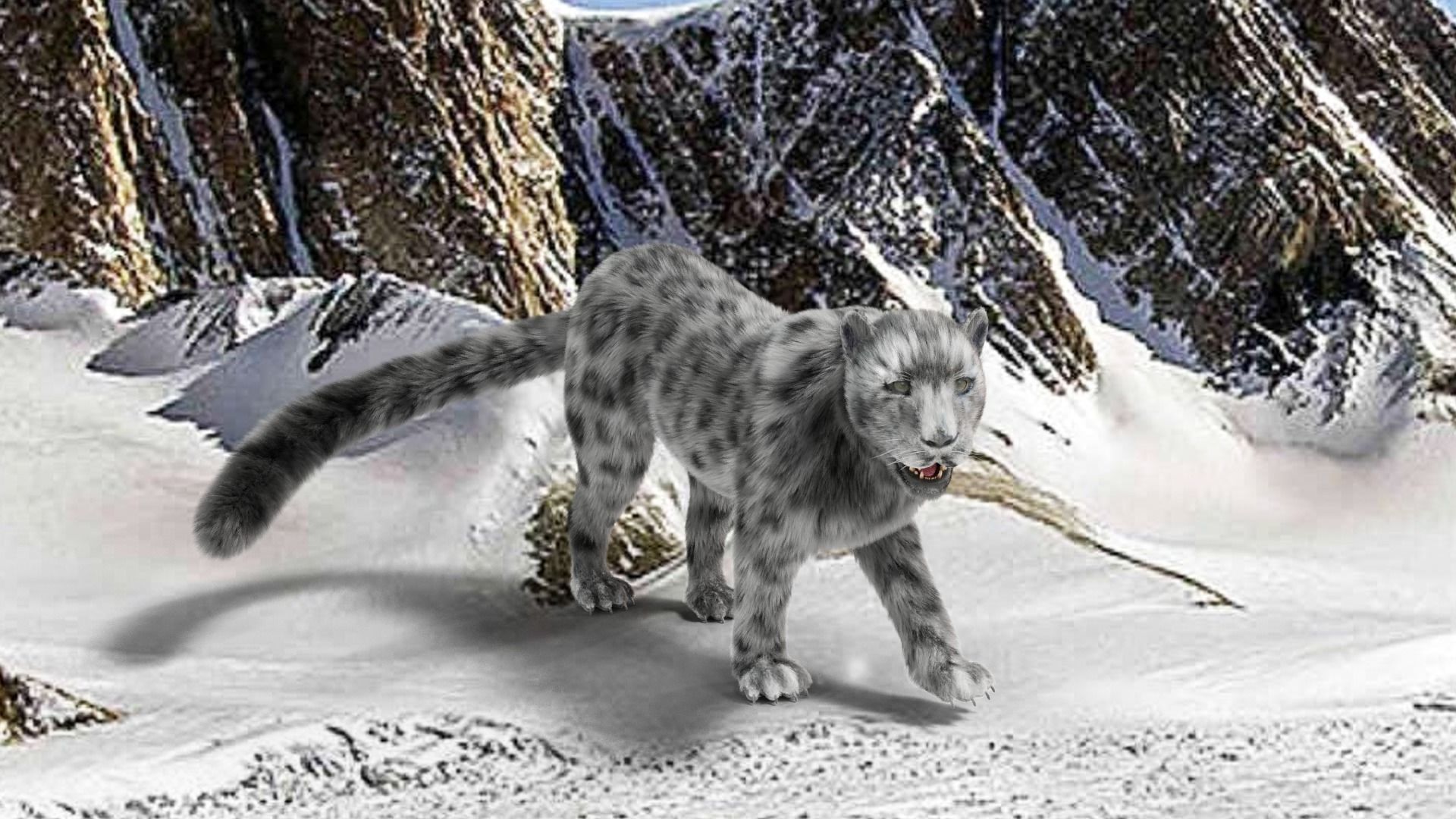 Realistic Fur Leopard  Rigged Low-poly 3D model_3