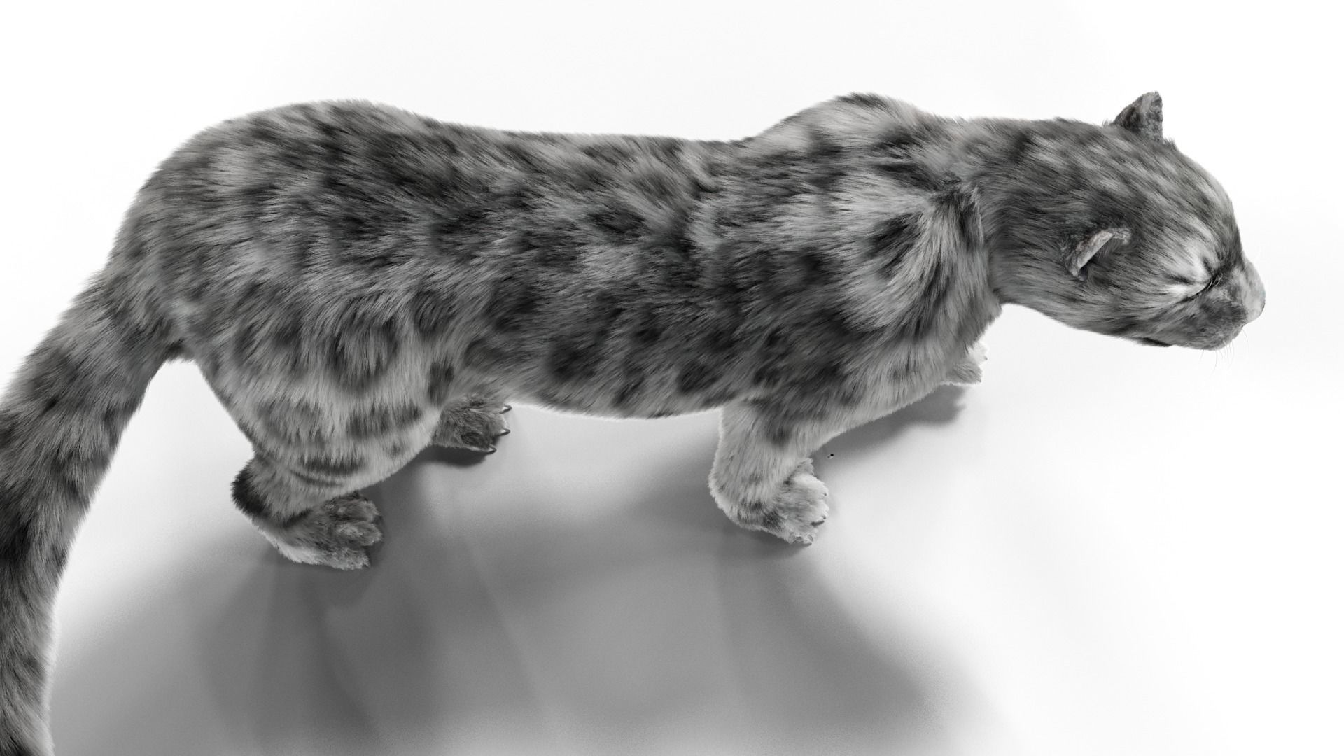 Realistic Fur Leopard  Rigged Low-poly 3D model_7