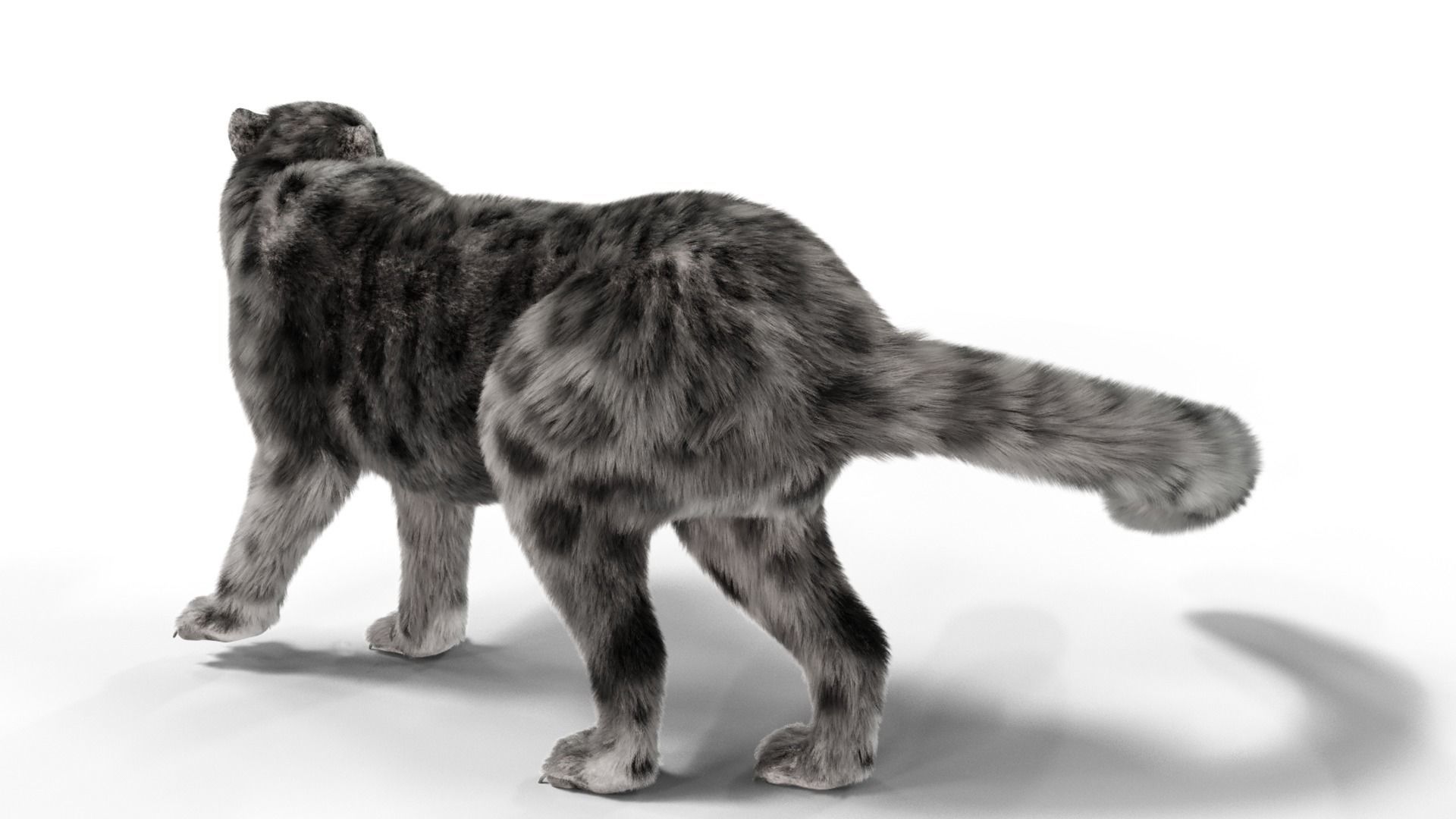 Realistic Fur Leopard  Rigged Low-poly 3D model_10