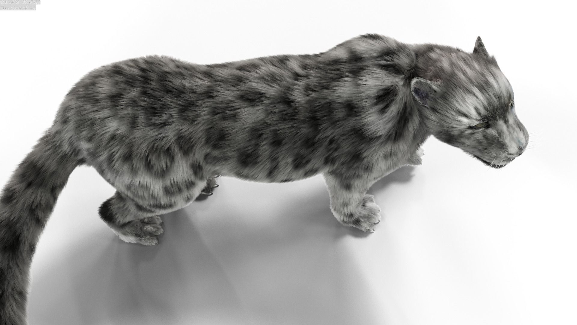 Realistic Fur Leopard  Rigged Low-poly 3D model_9