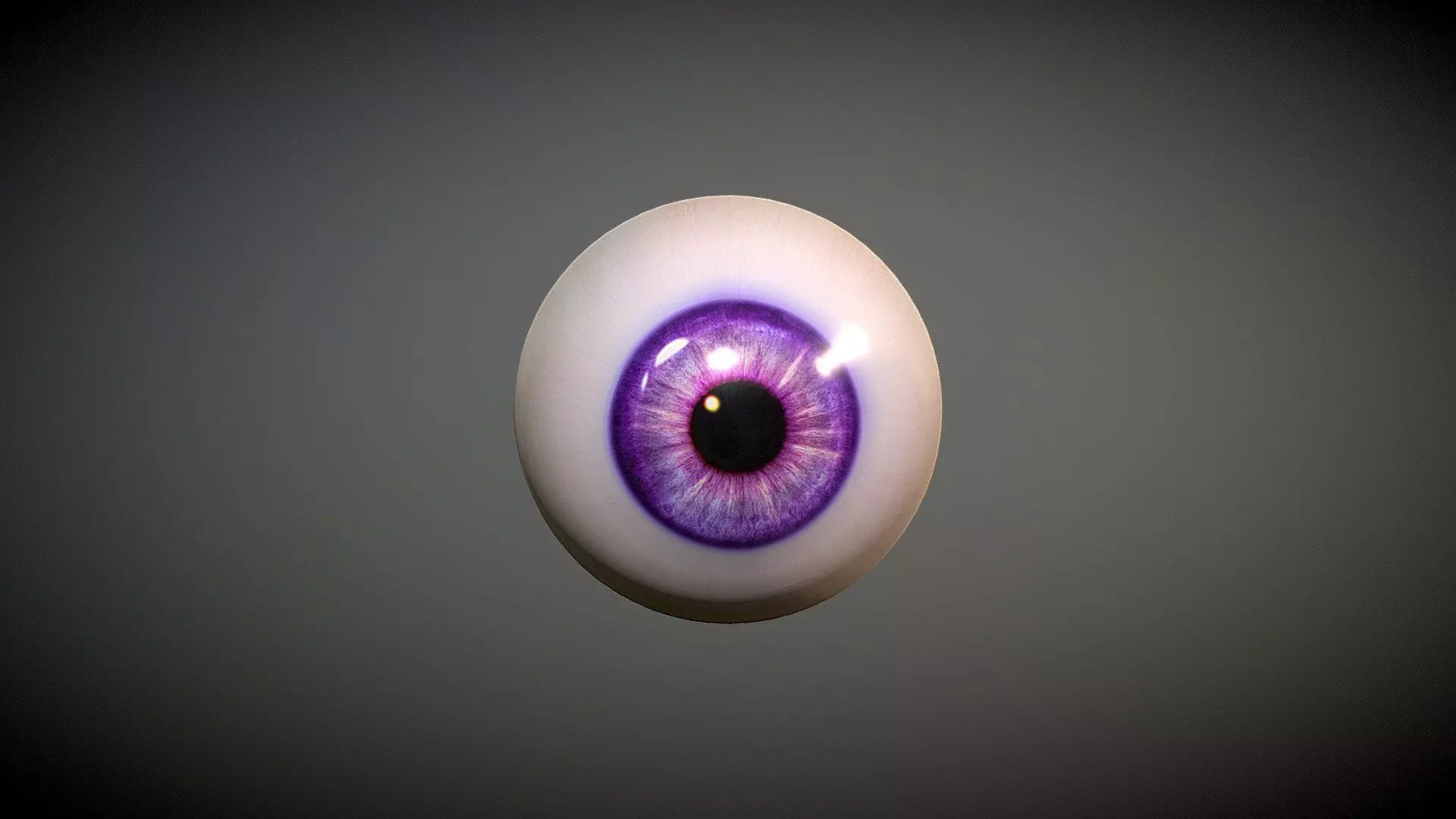 Free 3D Eye Model Free 3D model_0