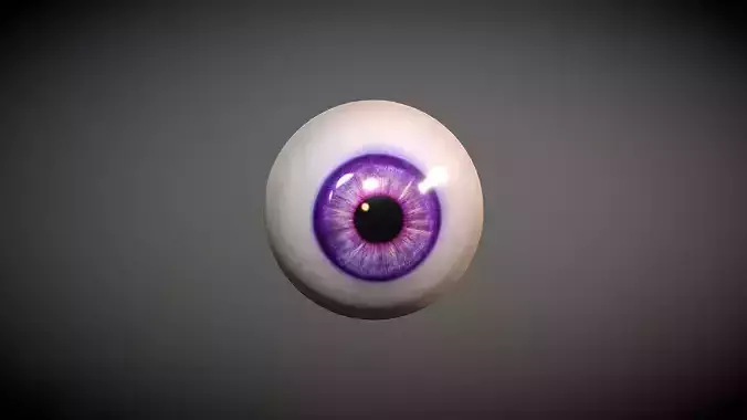 Free 3D Eye Model Free 3D model