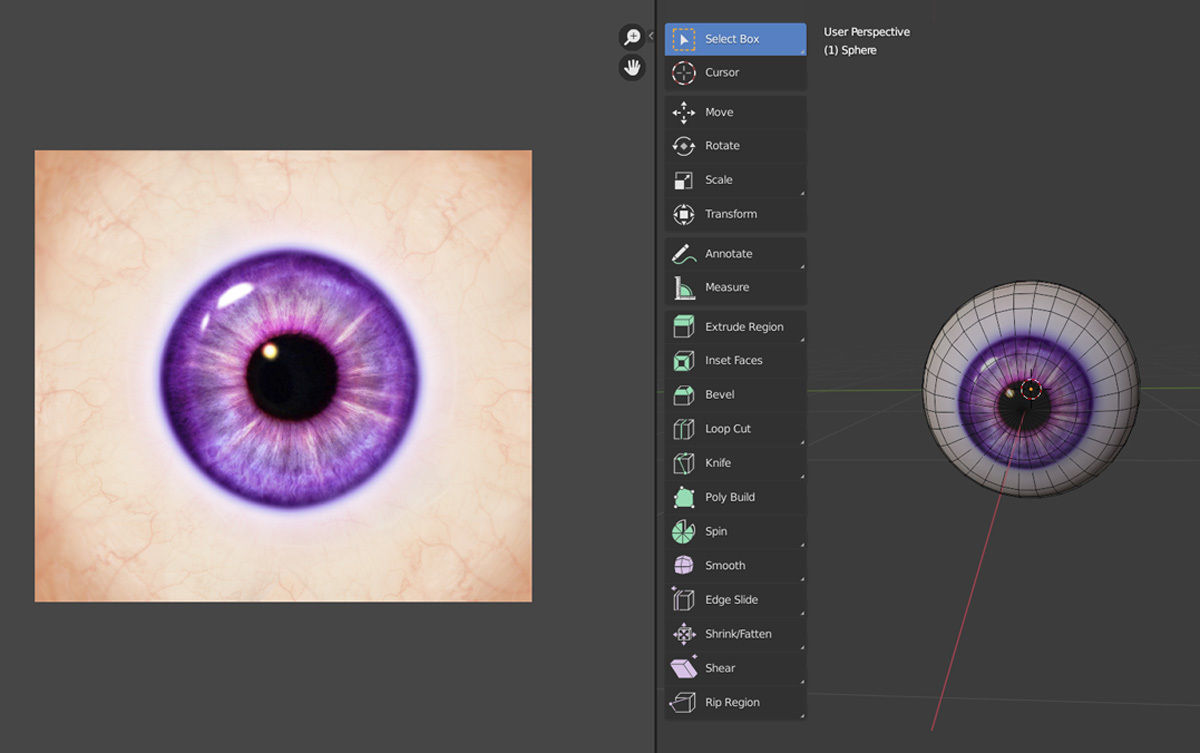 Free 3D Eye Model Free 3D model_2