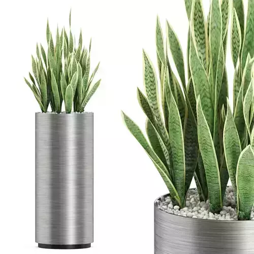 Plants collection 506 3D model