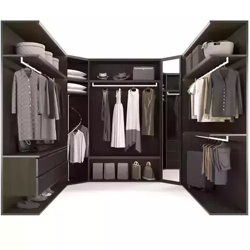 Wardrobe 2 closet with clothes and luggage