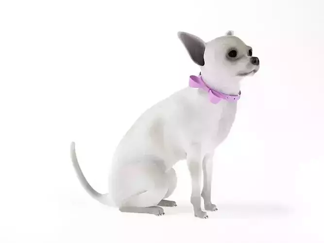 White Dog With A Pink Ribbon On Neck
