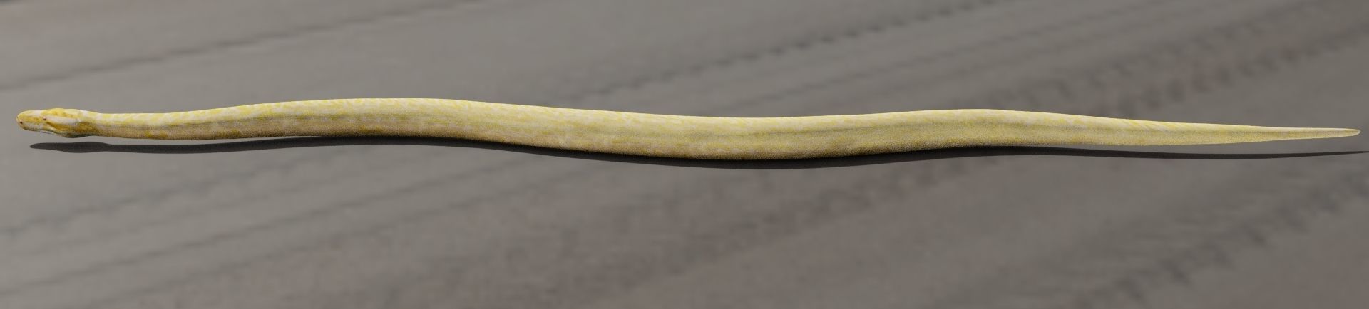 Python worm Low-poly 3D model_14