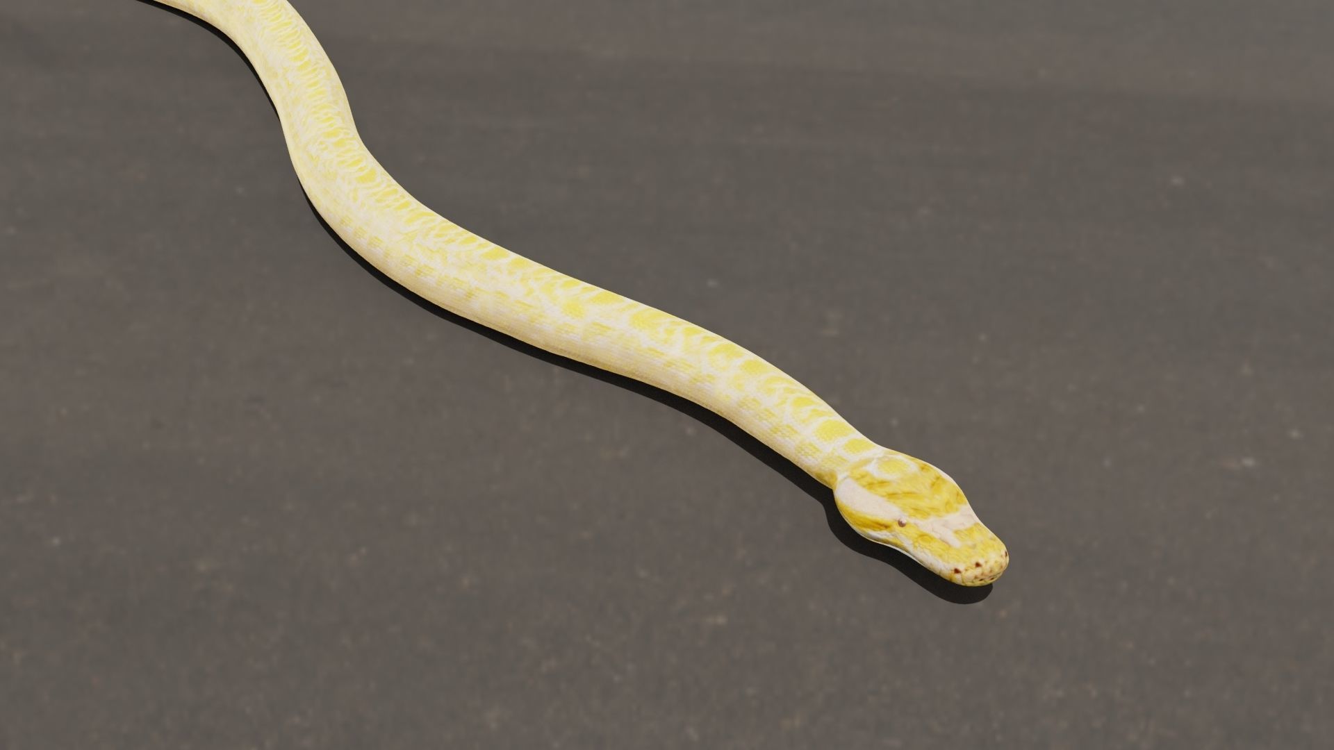 Python worm Low-poly 3D model_11