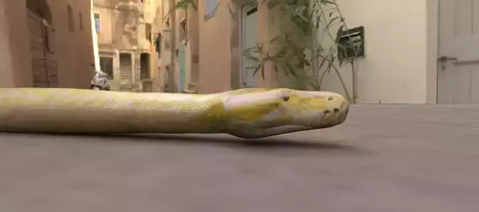 Python worm Low-poly 3D model