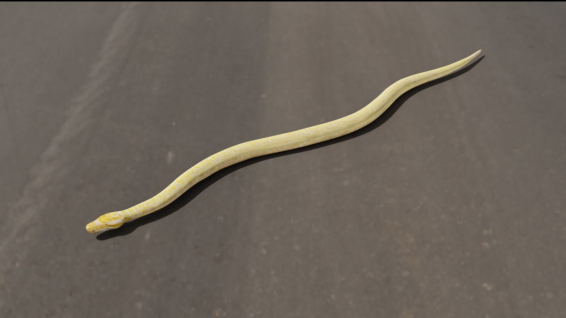 Python worm Low-poly 3D model_17