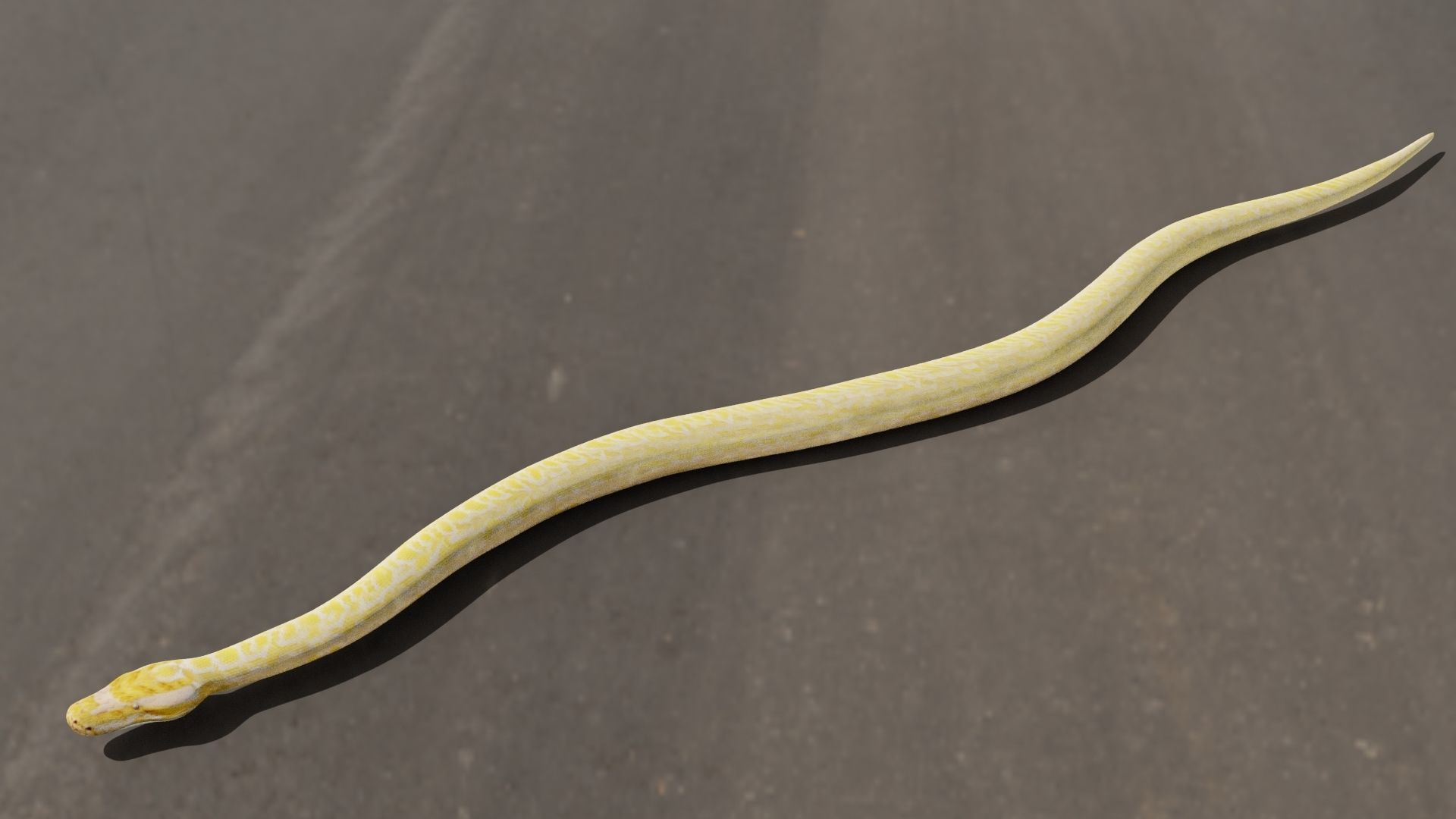 Python worm Low-poly 3D model_12
