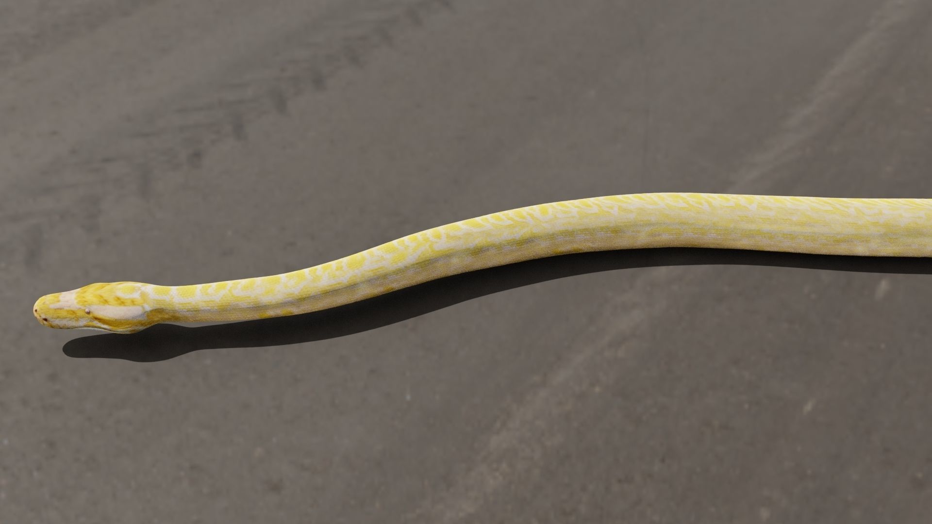 3D model Python worm VR / AR / low-poly rigged | CGTrader