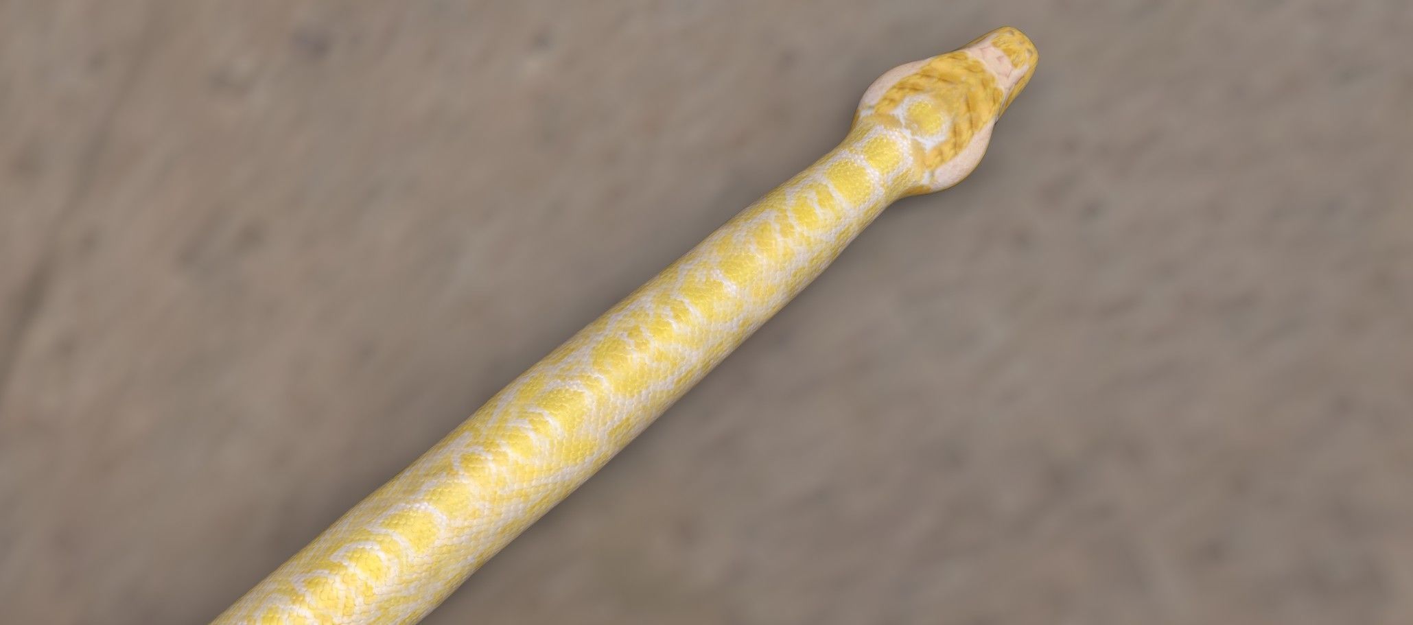 3D model Python worm VR / AR / low-poly rigged | CGTrader