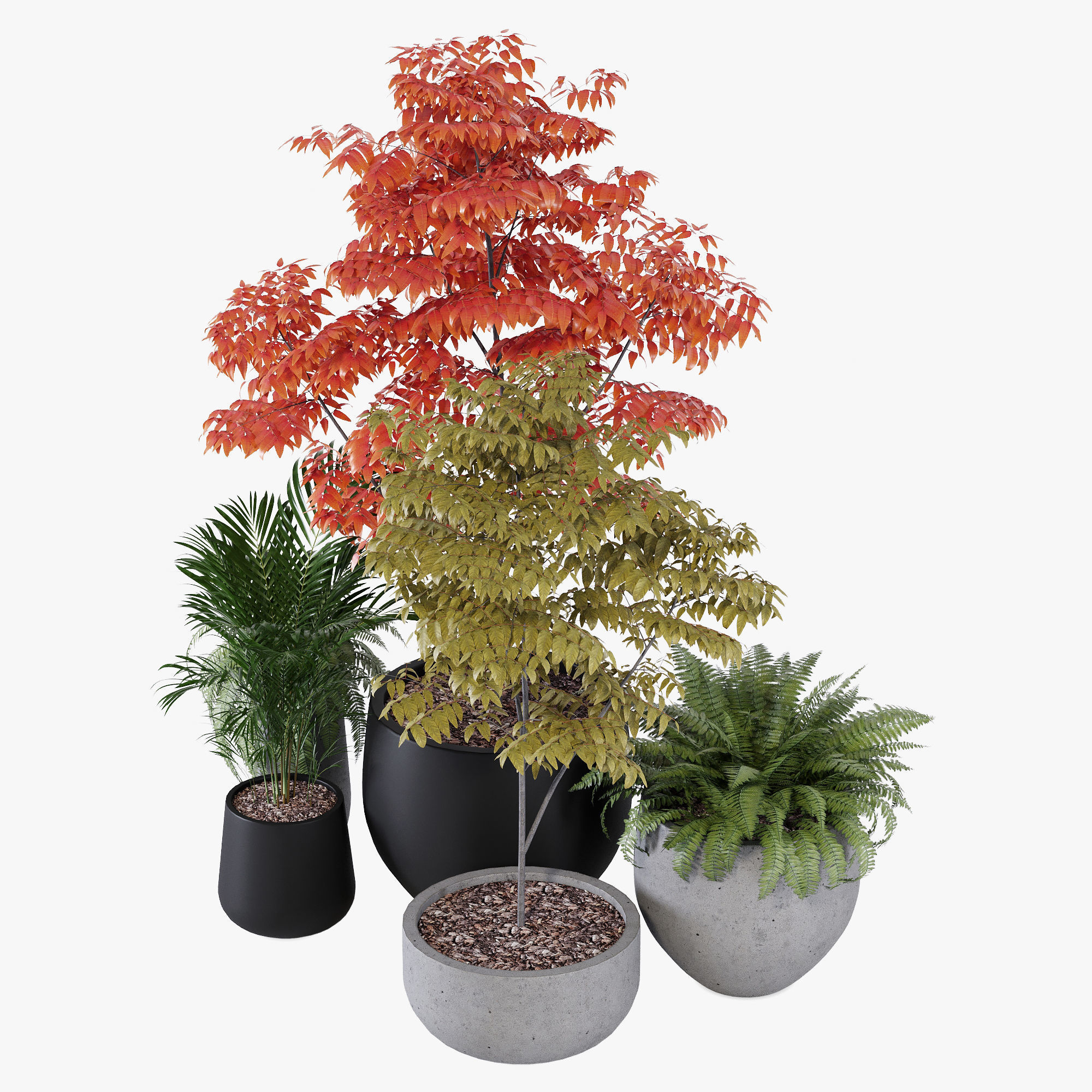 Pottery pots 3D model_3