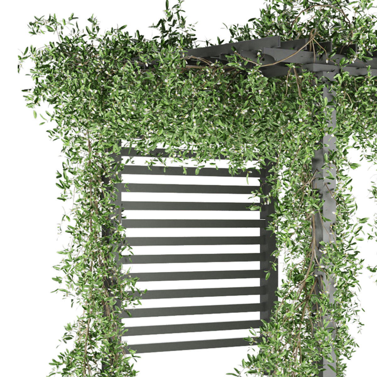 Collection plant vol 143 3D model_3