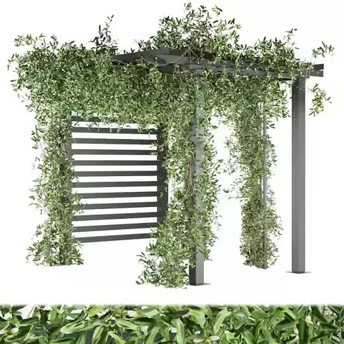 Collection plant vol 143 3D model