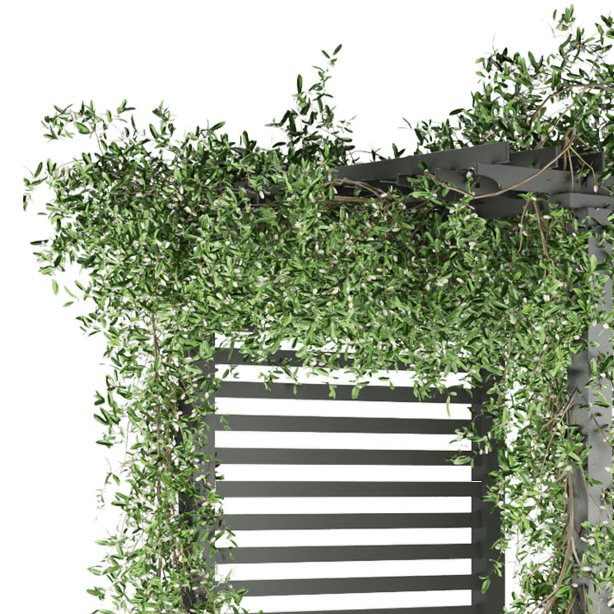 Collection plant vol 143 3D model_1