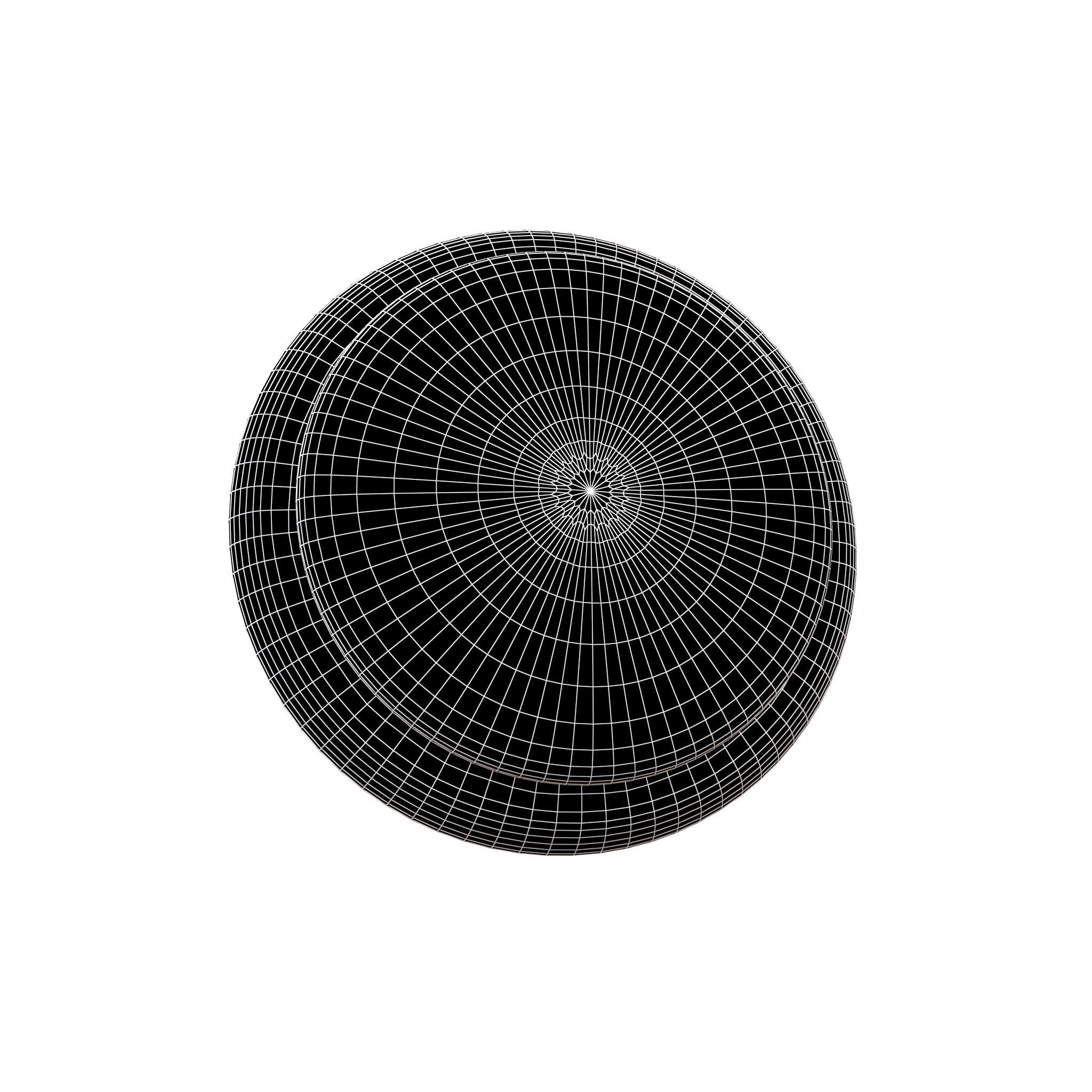 Apple Air Tags v2 001 Low-poly 3D model_6