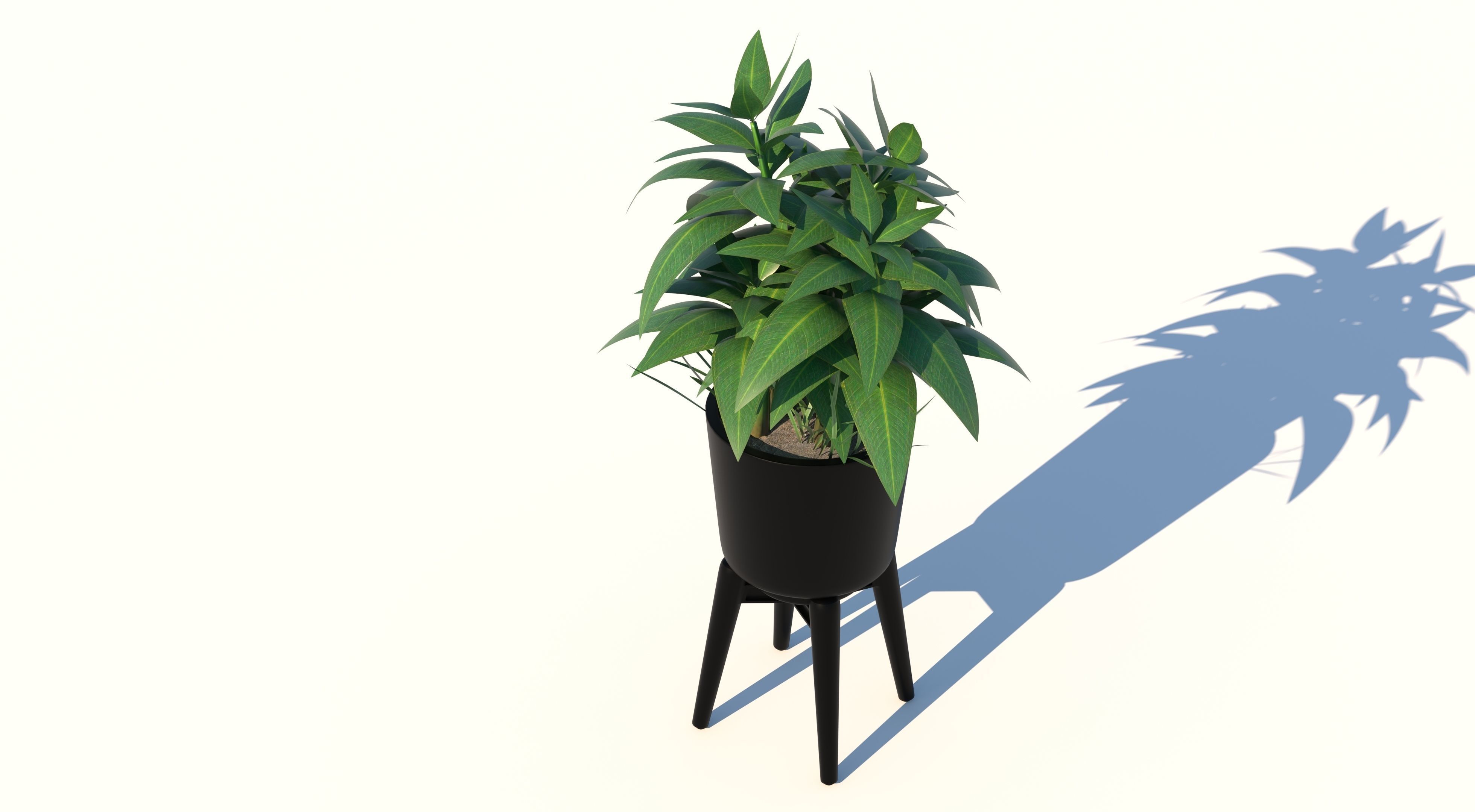 Dracaena and Pot 2 3D model_3