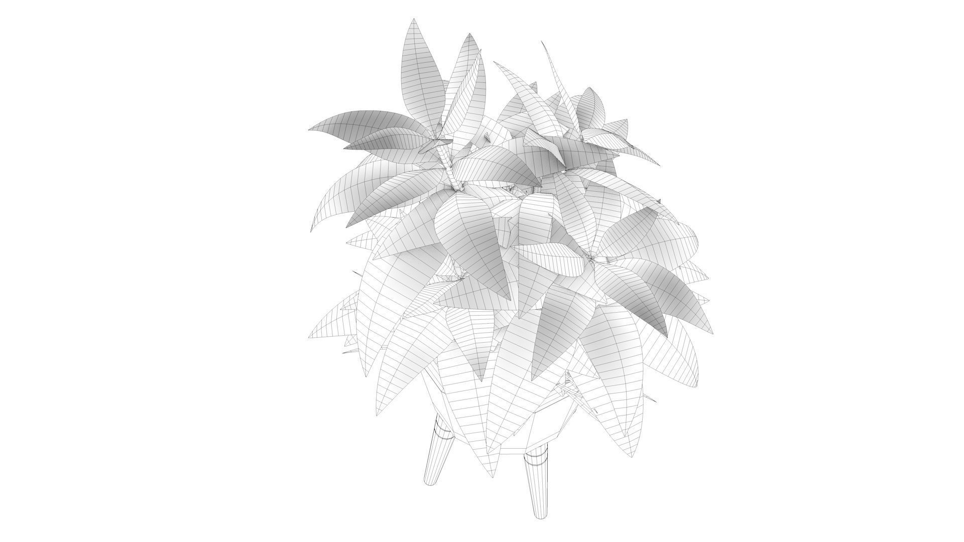 Dracaena and Pot 2 3D model_11