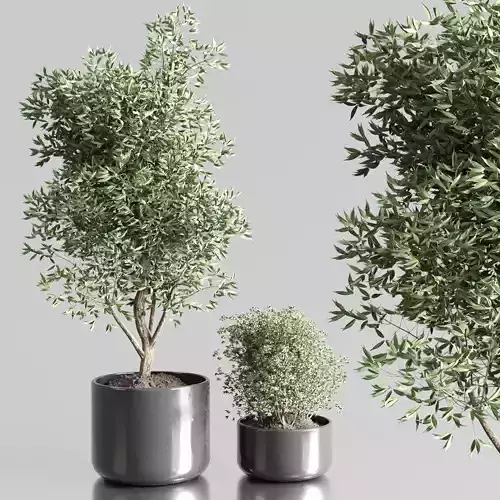 collection Indoor plant 44 vase