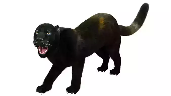 Fur Black Panther Rigged