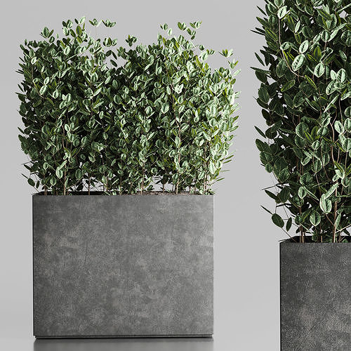 collection outdoor plant 25 concrete vase bax 3D model