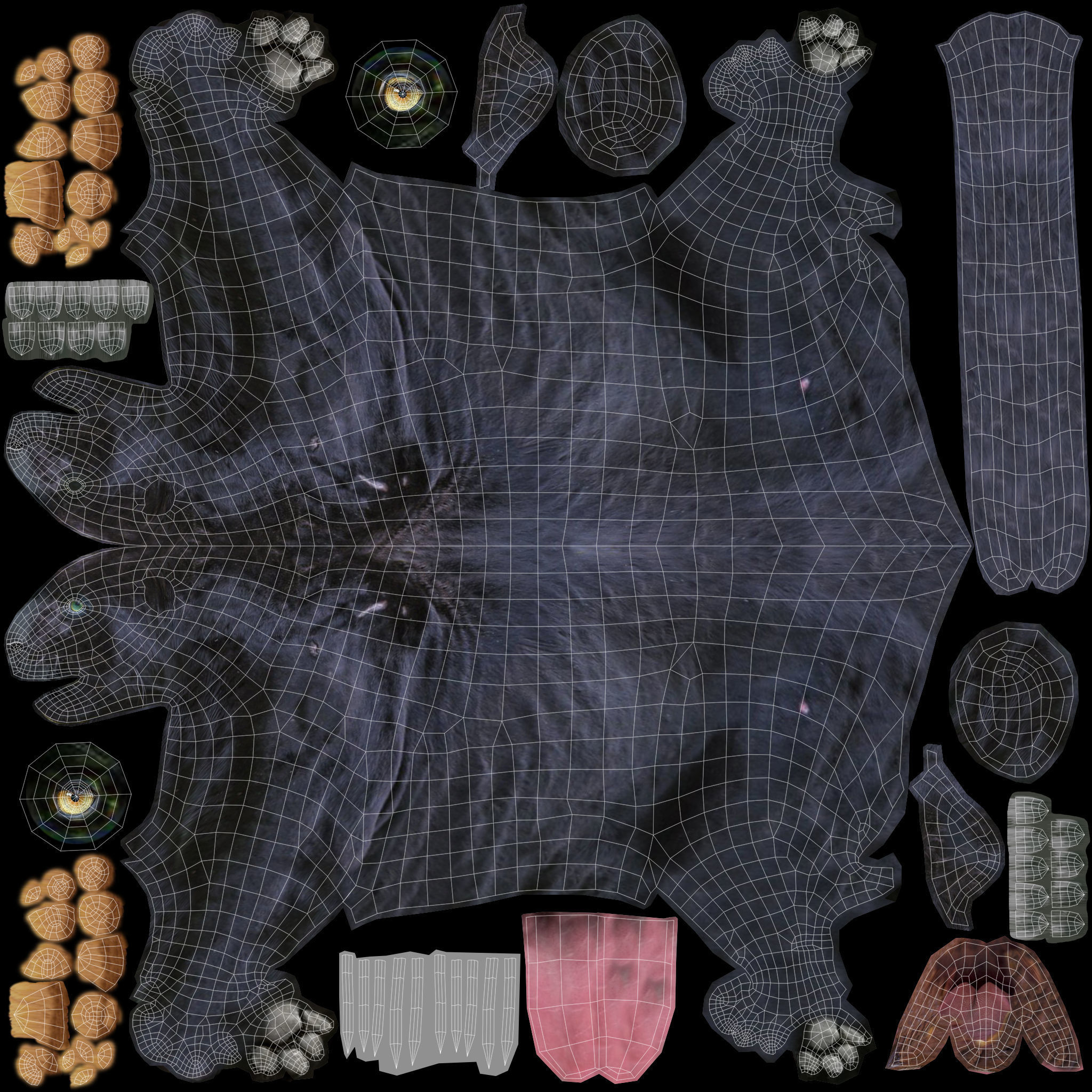 Realistic Fur Black panther Rigged Low-poly 3D model_12