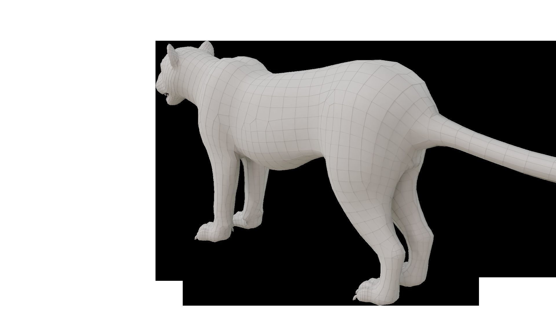 Realistic Fur Black panther Rigged Low-poly 3D model_13