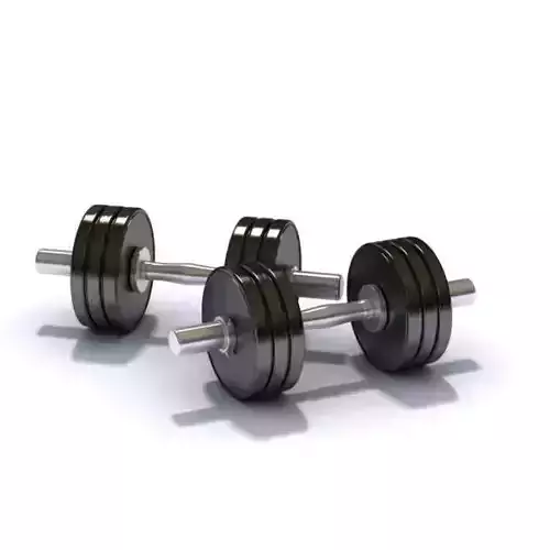 Black Metallic Pair Of Dumbbells