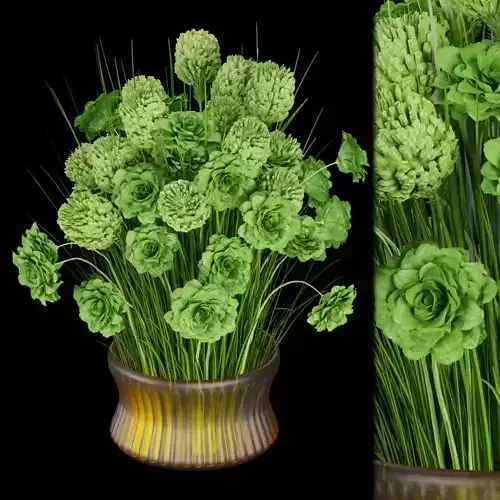 Collection plant vol 145 3D model