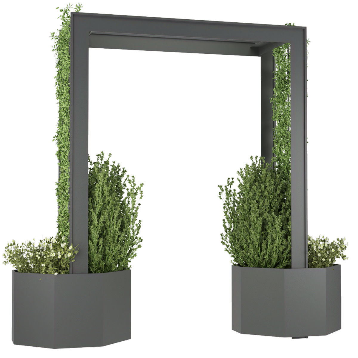 Collection plant vol 147 3D model_1