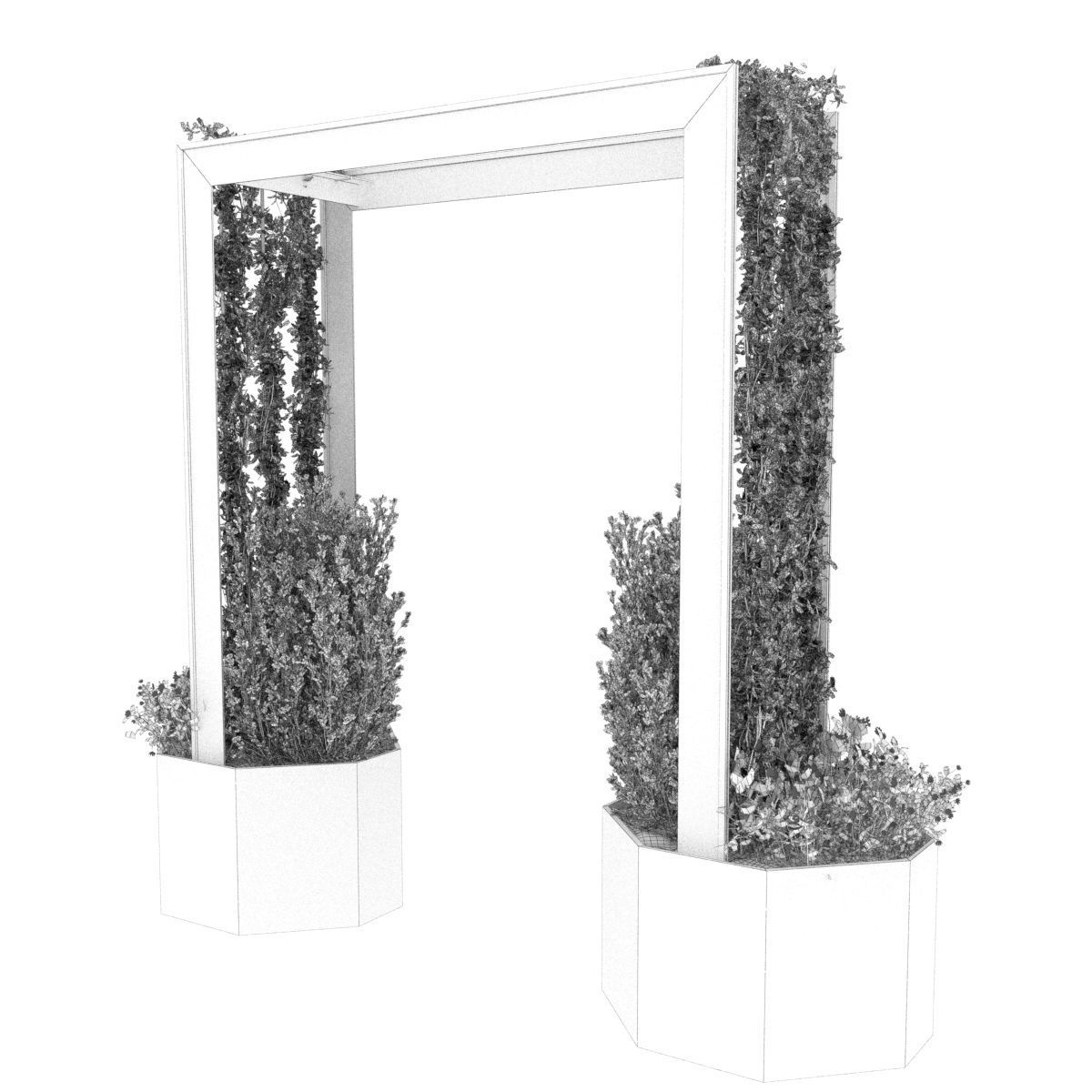 Collection plant vol 147 3D model_2