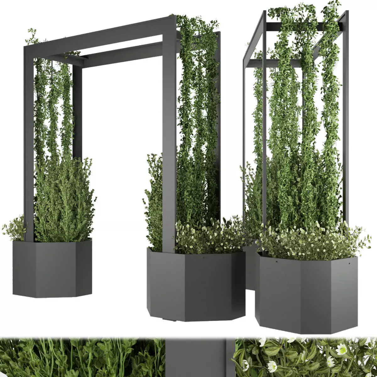 Collection plant vol 147 3D model_0