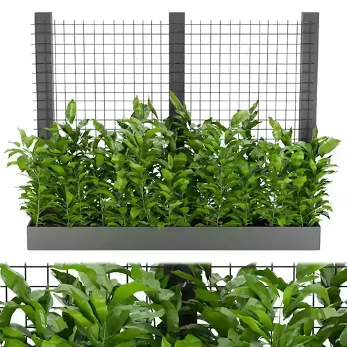 Collection plant vol 148 3D model