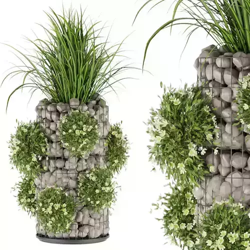 Collection plant vol 150 3D model
