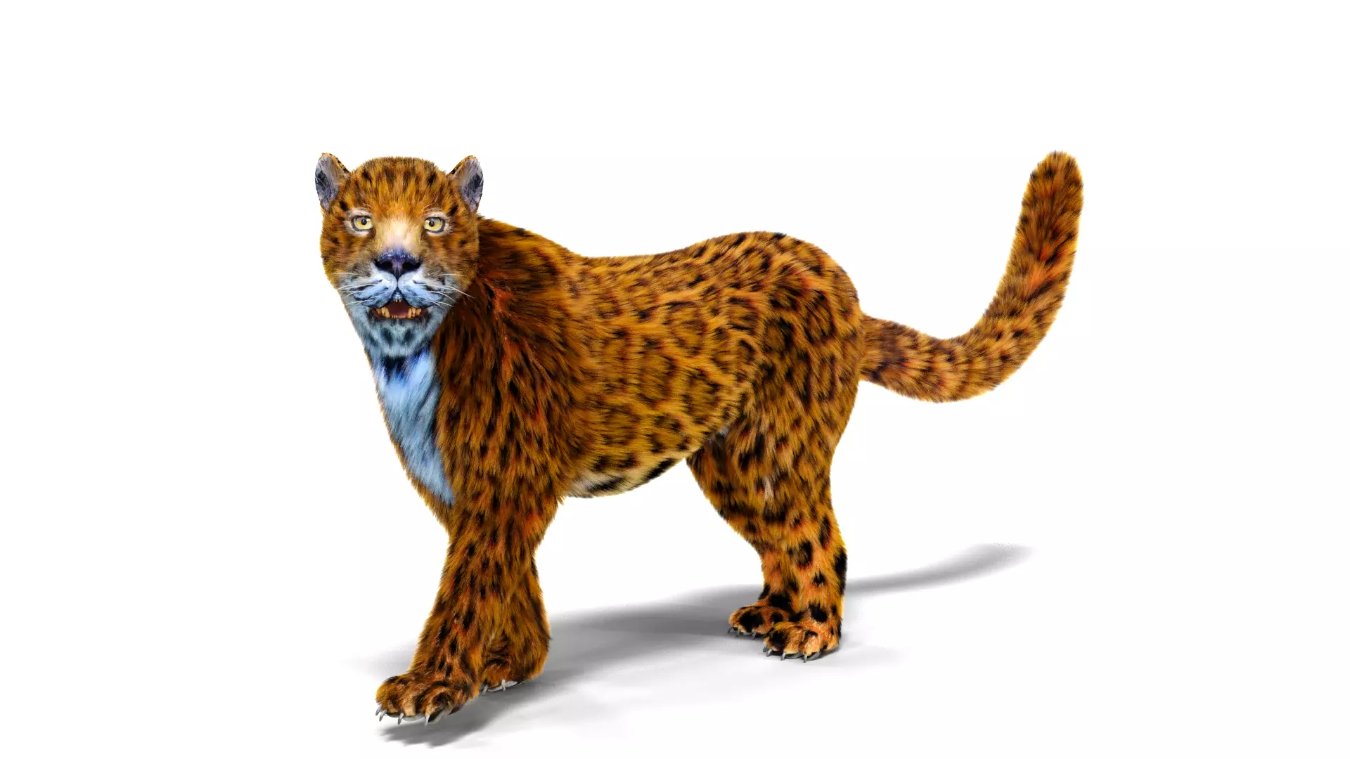 Fur Leopard Rigged  Low-poly 3D model_0